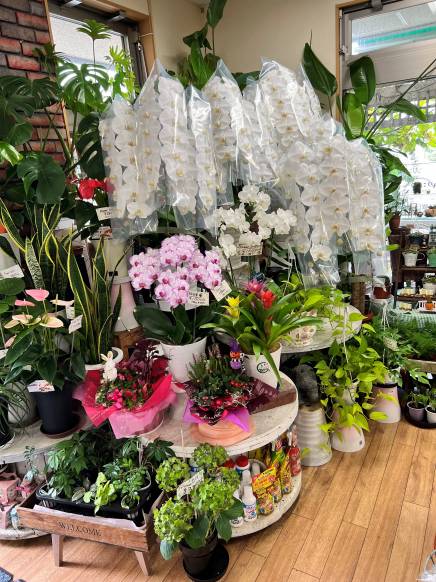 埼玉県吉川市の花屋 リンディにフラワーギフトはお任せください 当店は 安心と信頼の花キューピット加盟店です 花キューピットタウン